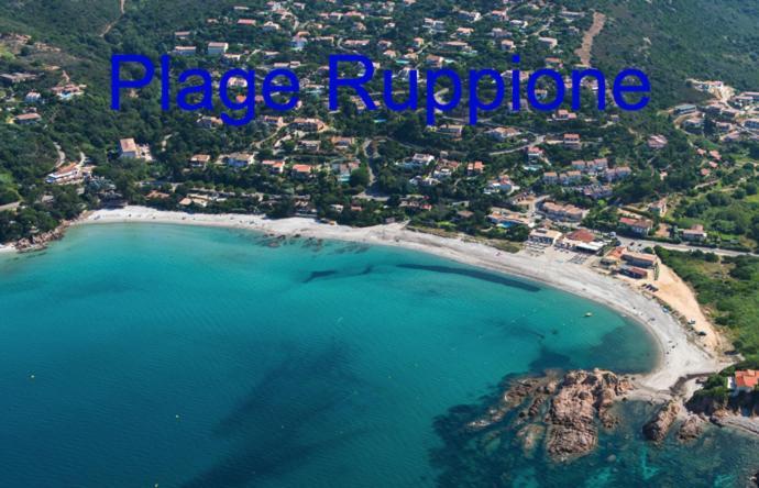 Vue Mer Panoramique Plage 50M Porticcio Corse Bagian luar foto
