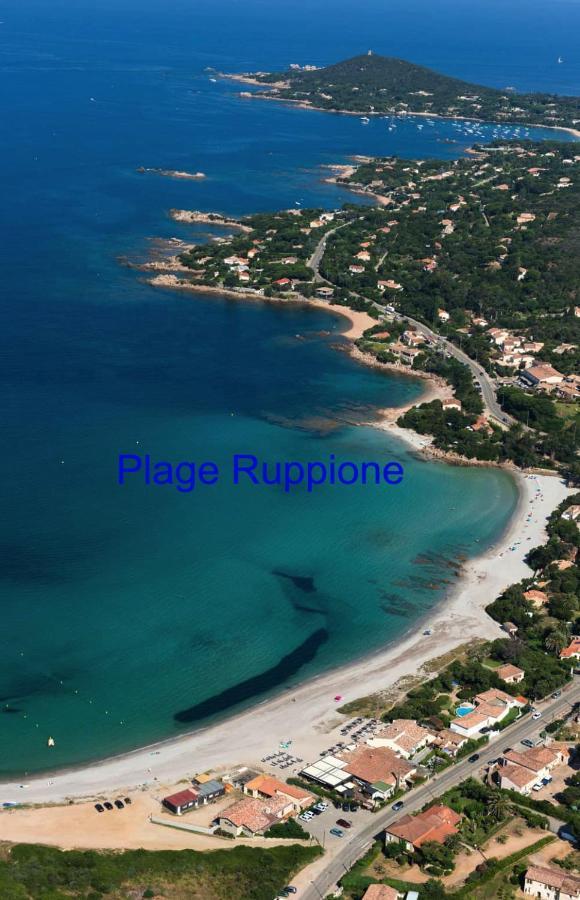 Vue Mer Panoramique Plage 50M Porticcio Corse Bagian luar foto